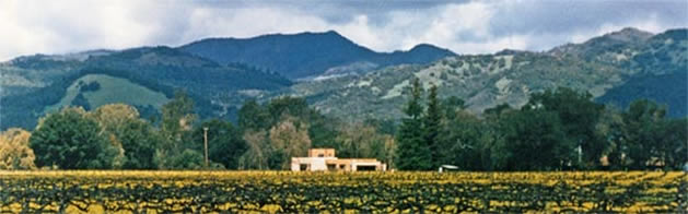 house & vineyard